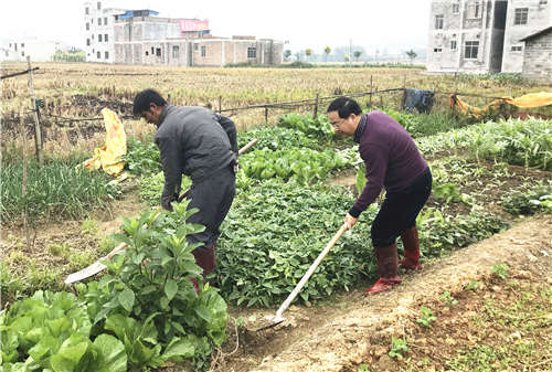 我院下乡工作组开展“万名干部进万家”宣传党的十九大精神活动