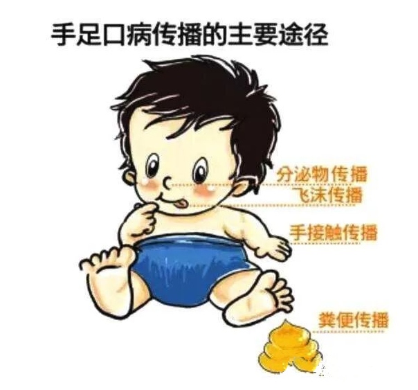 预防手足口病知识宣传