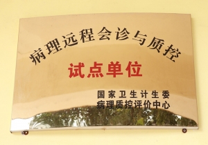 病理远程会诊与质控试点单位